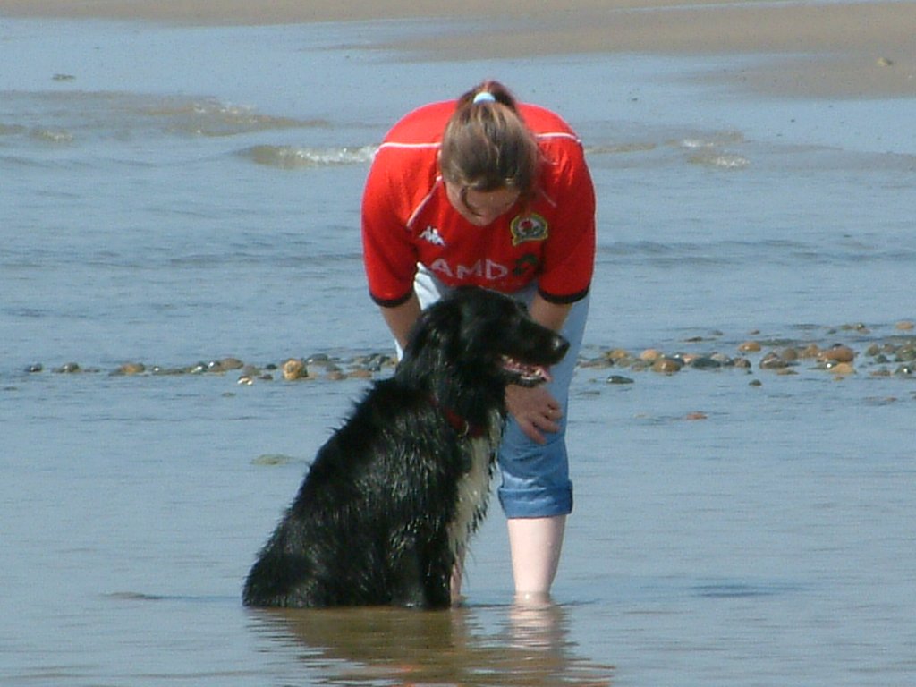 Click now to see this image full size.