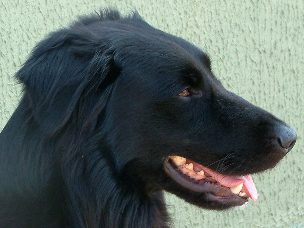 Click now to see this image full size.