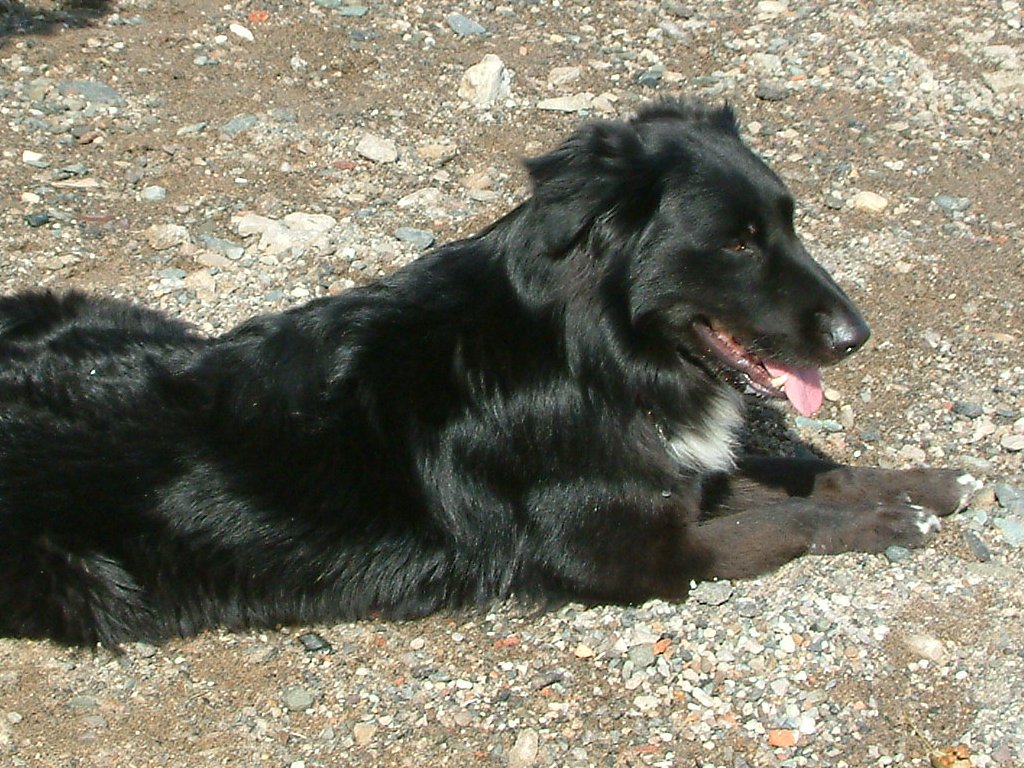 Click now to see this image full size.