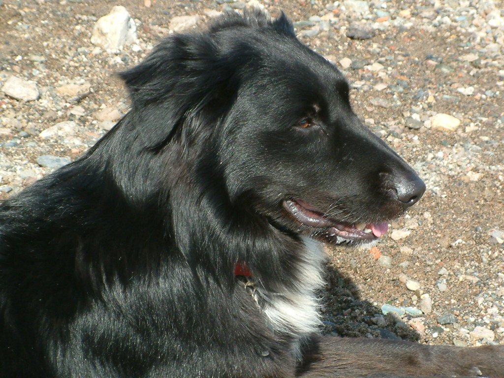 Click now to see this image full size.