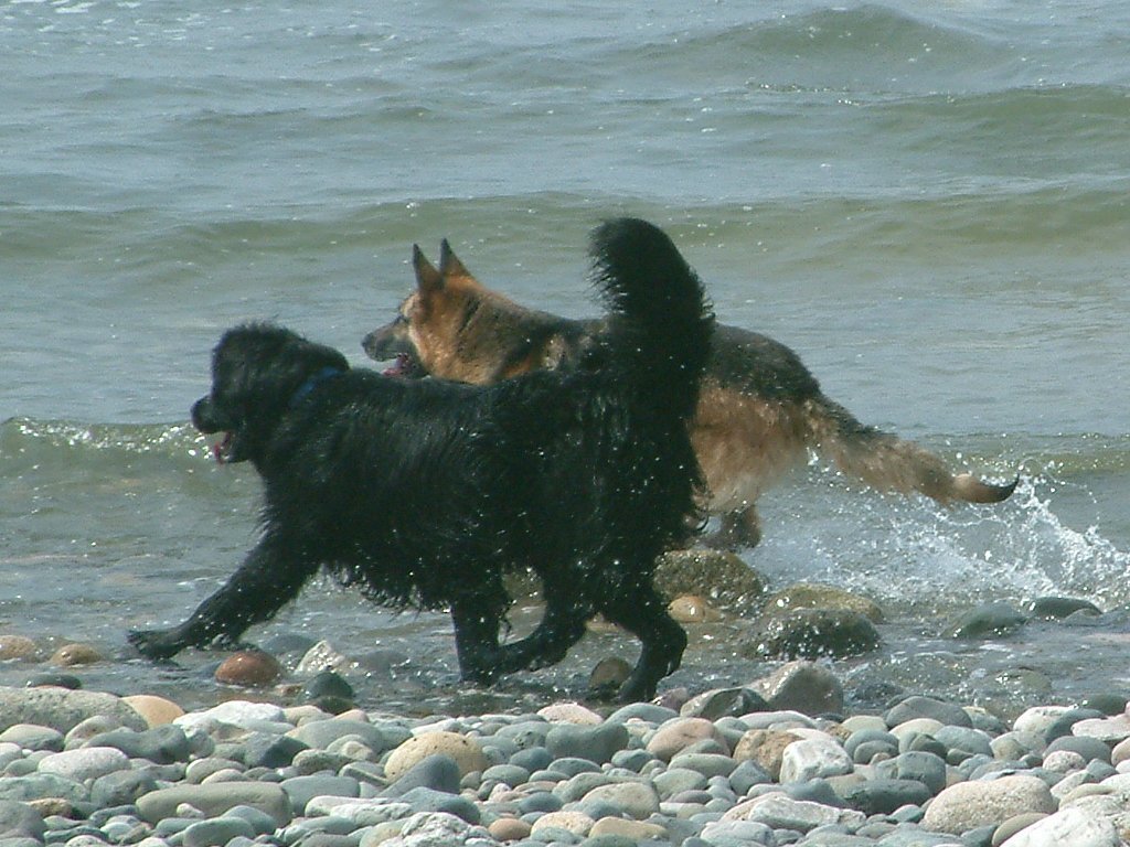 Click now to see this image full size.