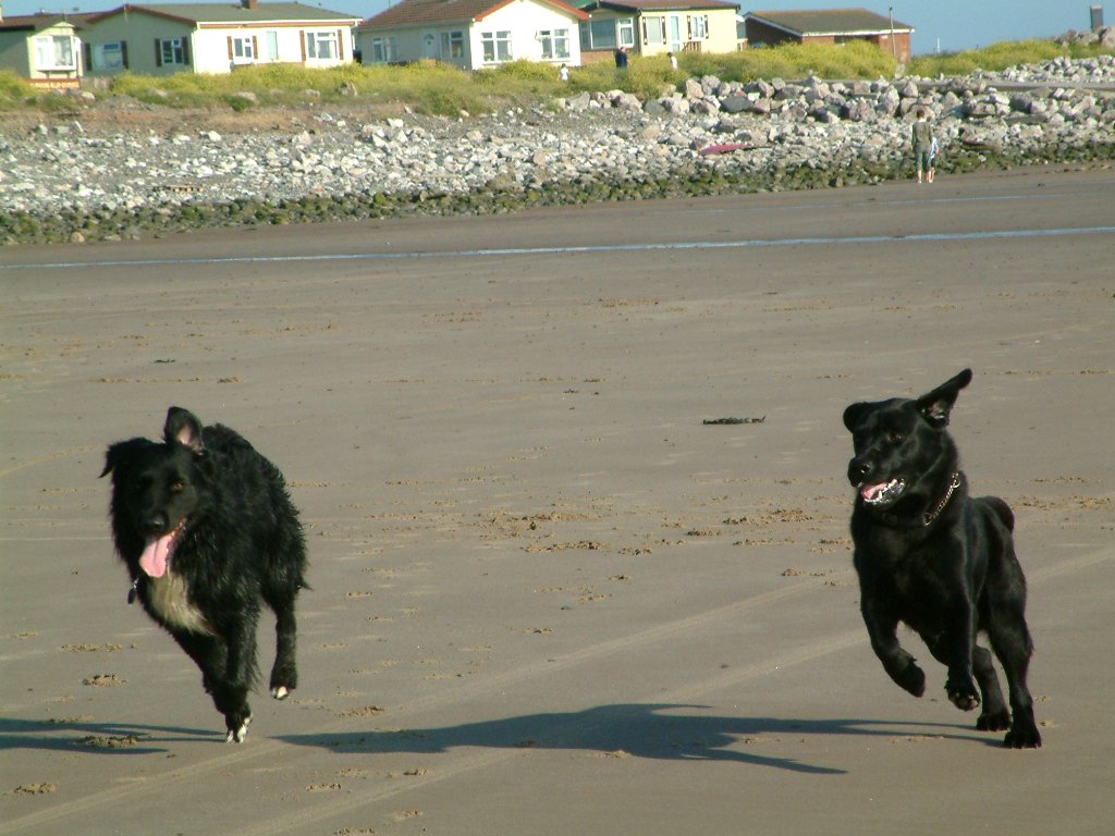 Click now to see this image full size.