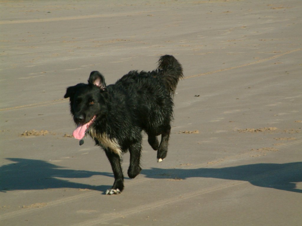 Click now to see this image full size.