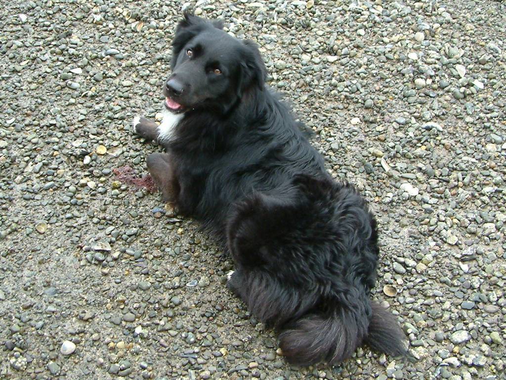 Click now to see this image full size.