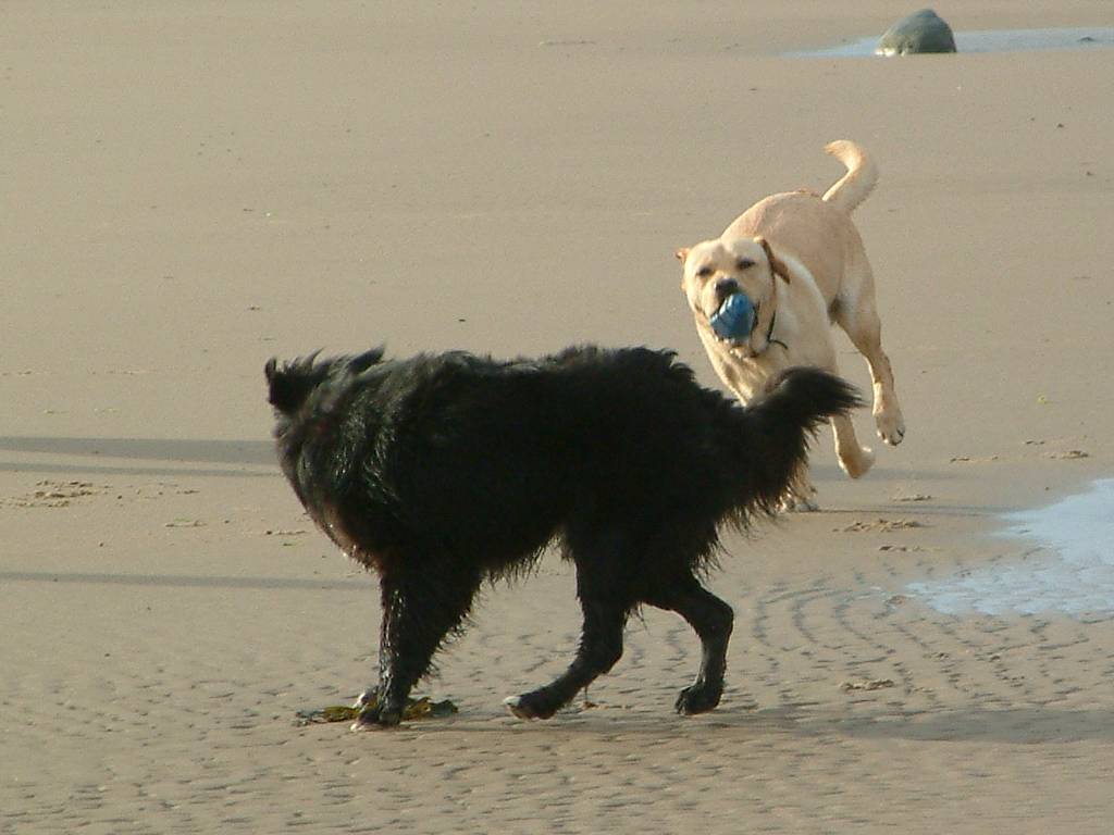 Click now to see this image full size.