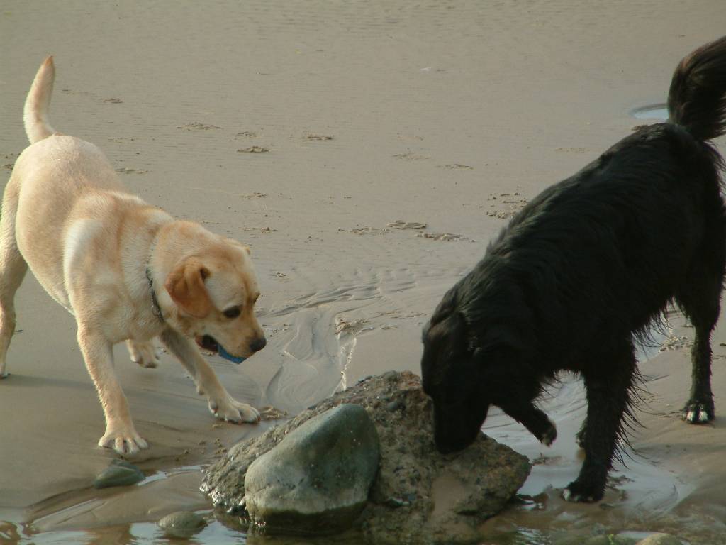 Click now to see this image full size.