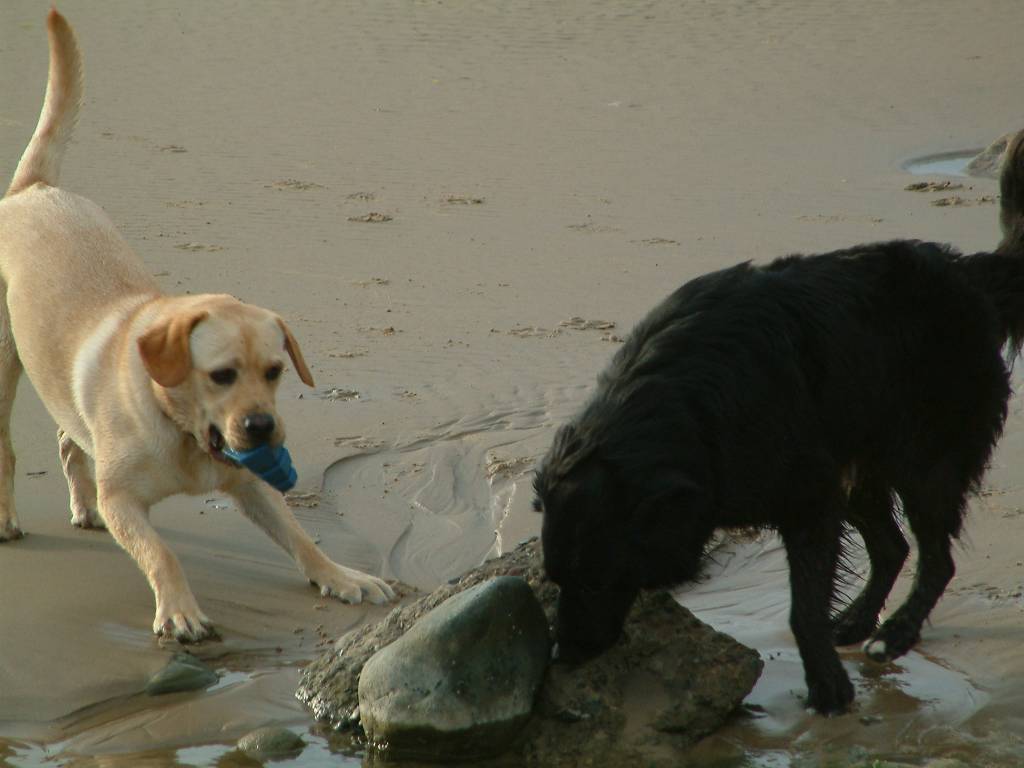 Click now to see this image full size.