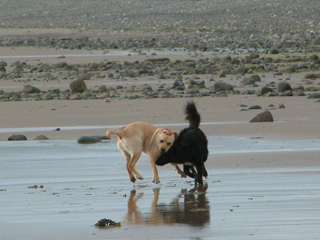 Click now to see this image full size.