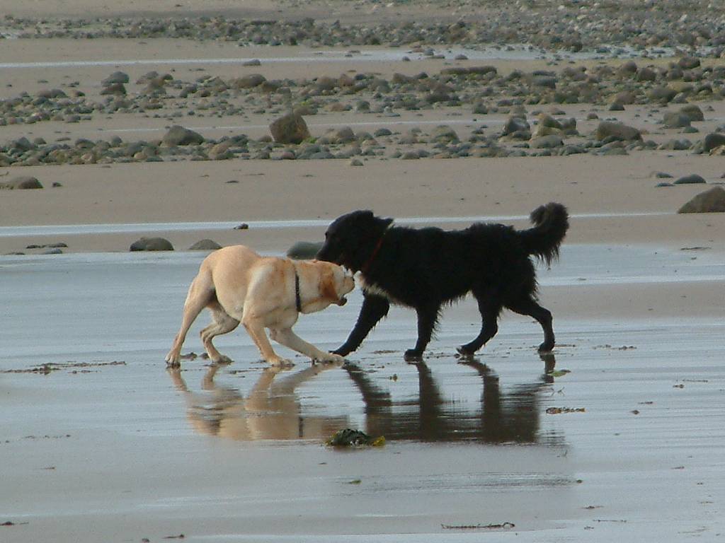 Click now to see this image full size.