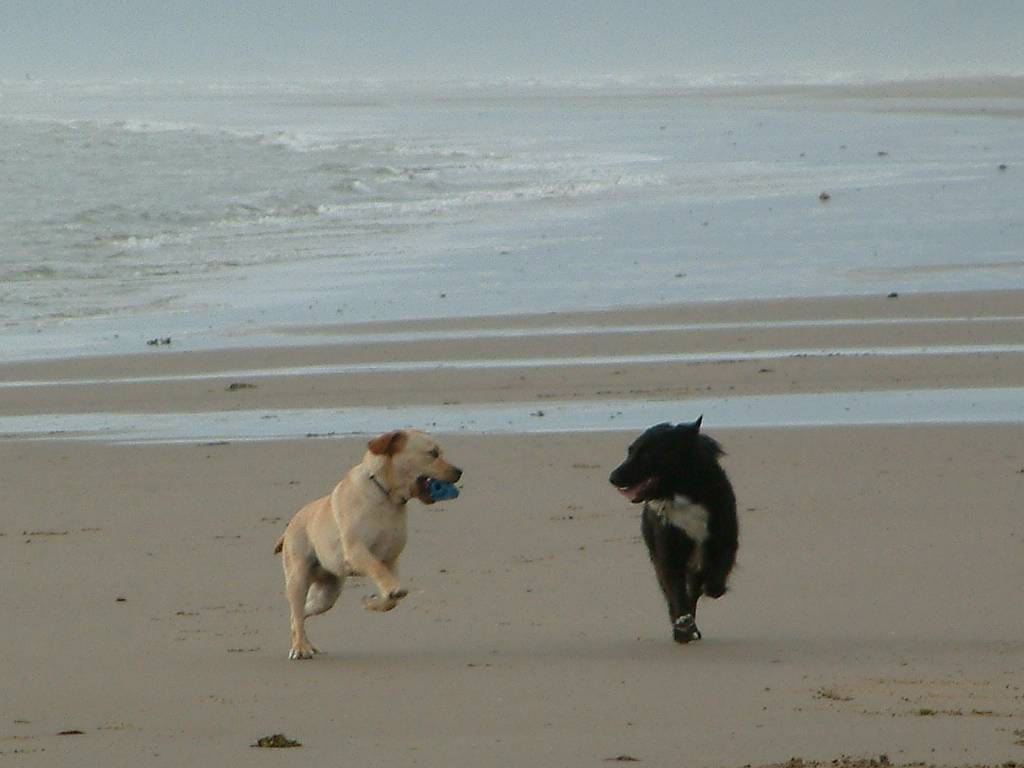 Click now to see this image full size.