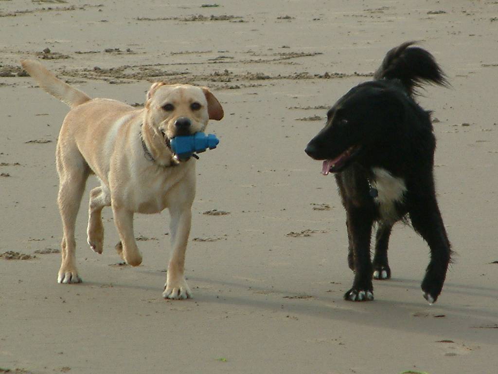 Click now to see this image full size.