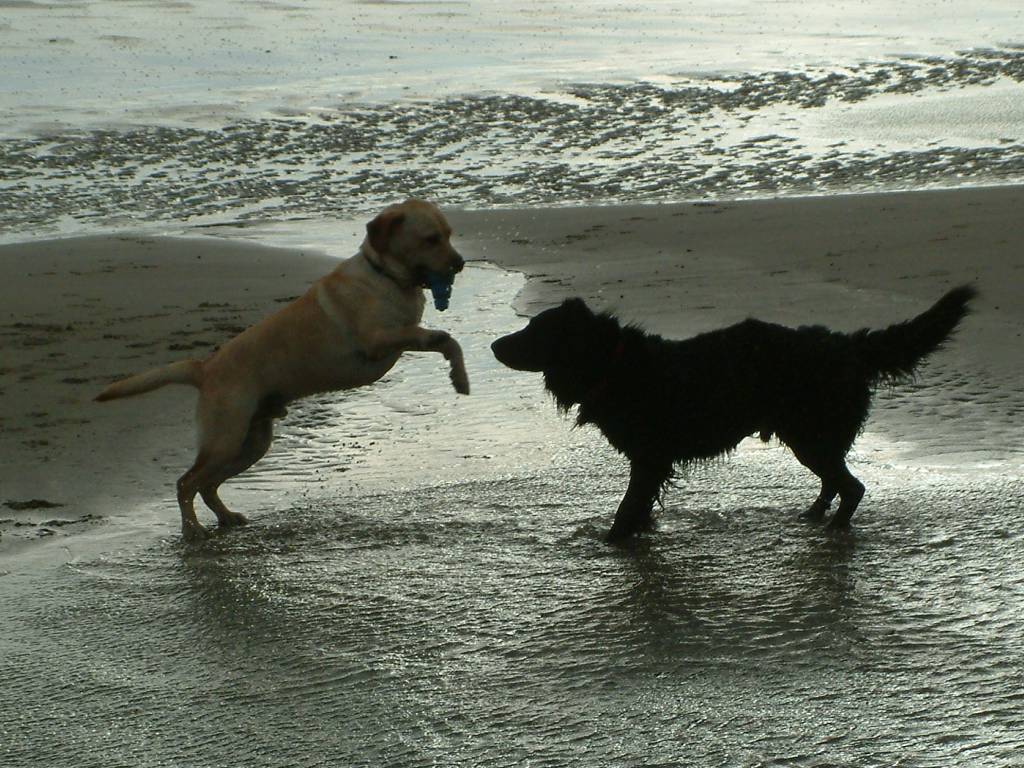 Click now to see this image full size.