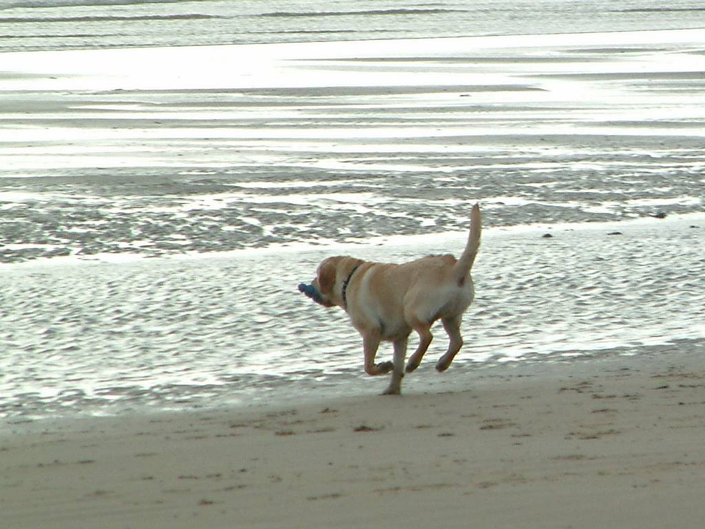 Click now to see this image full size.