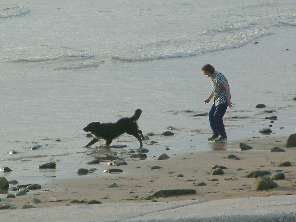 Click now to see this image full size.