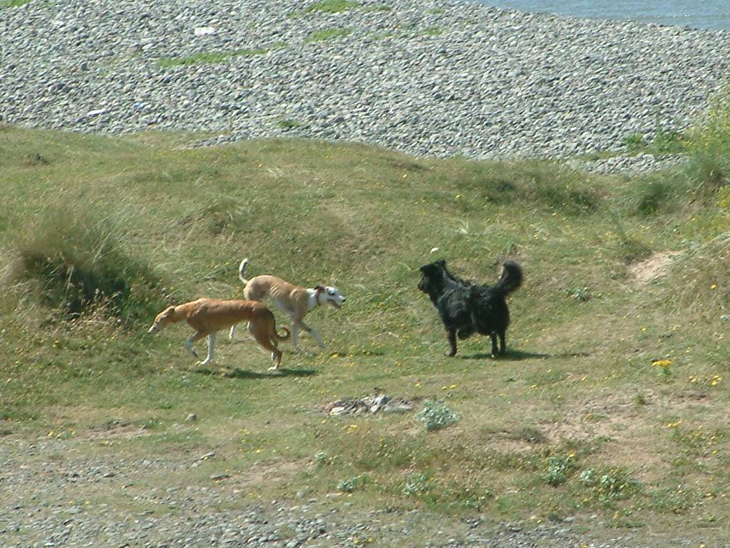 Click now to see this image full size.