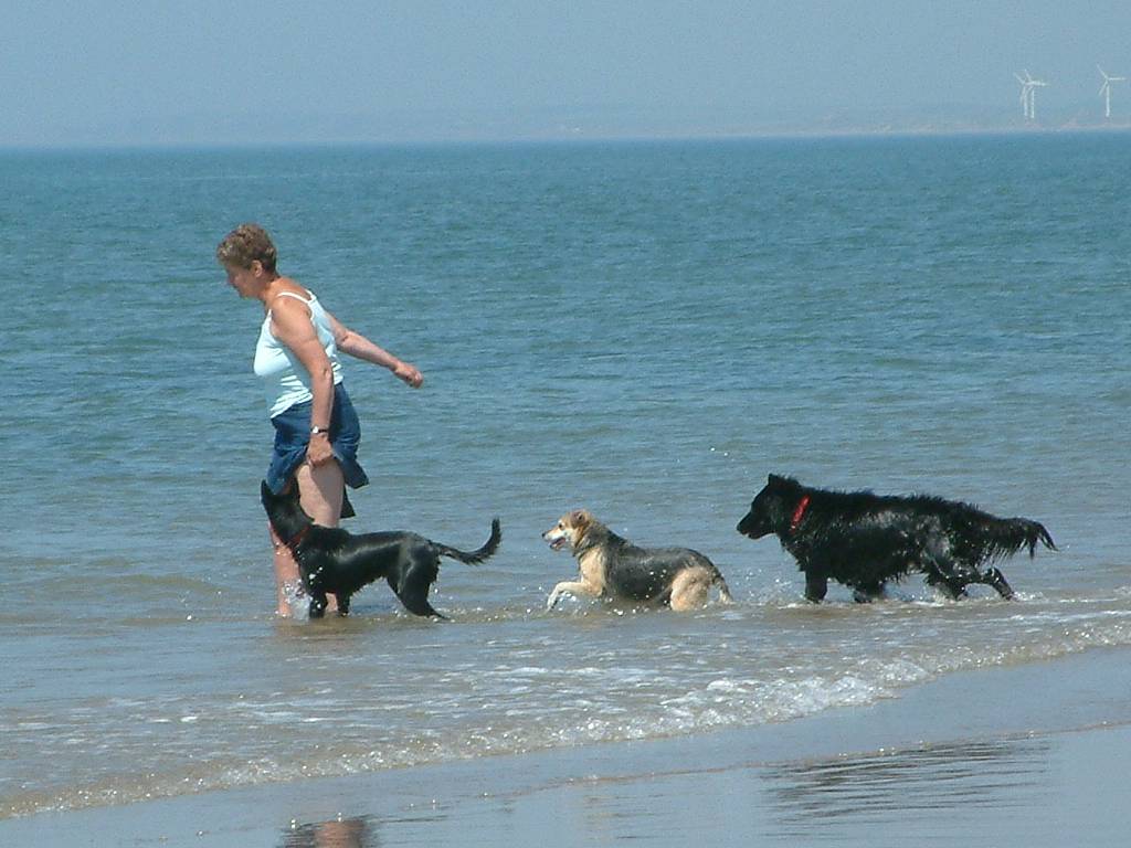 Click now to see this image full size.