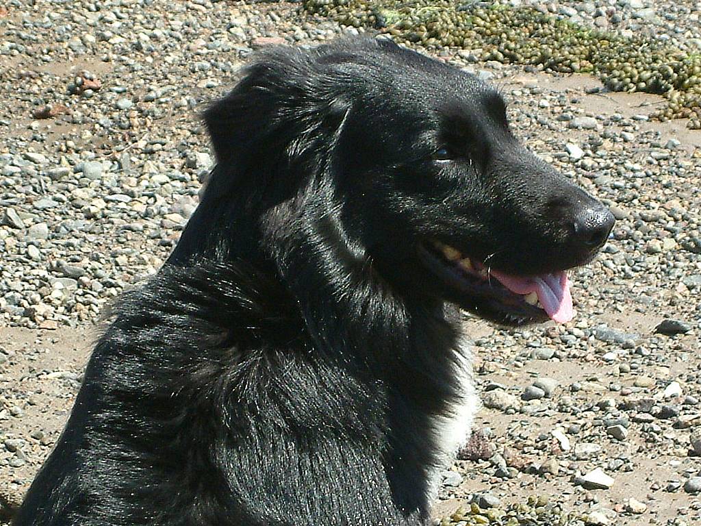 Click now to see this image full size.