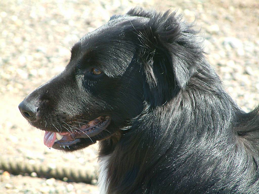 Click now to see this image full size.