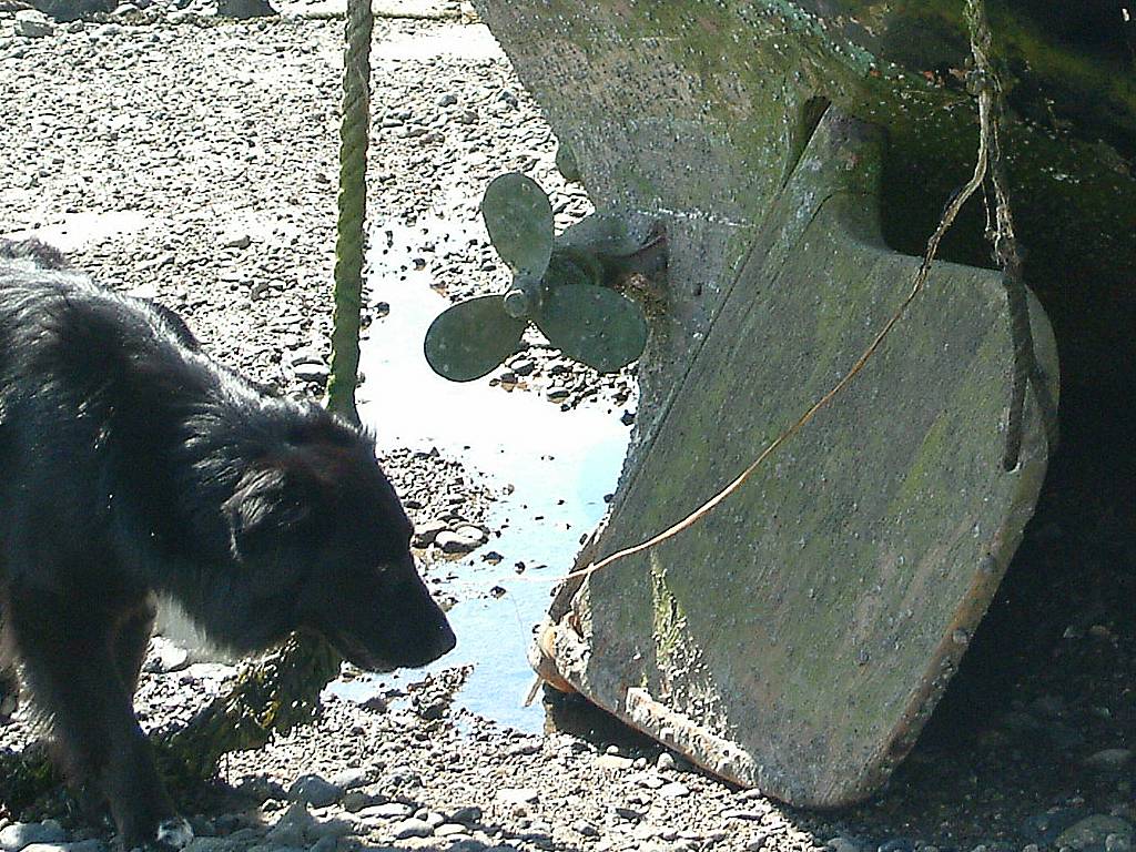 Click now to see this image full size.