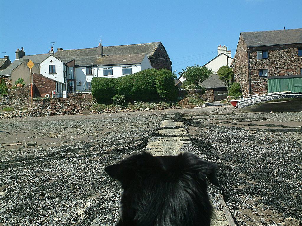 Click now to see this image full size.