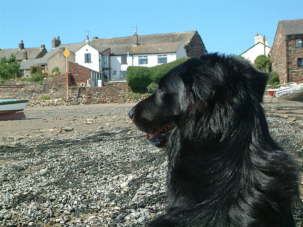 Click now to see this image full size.