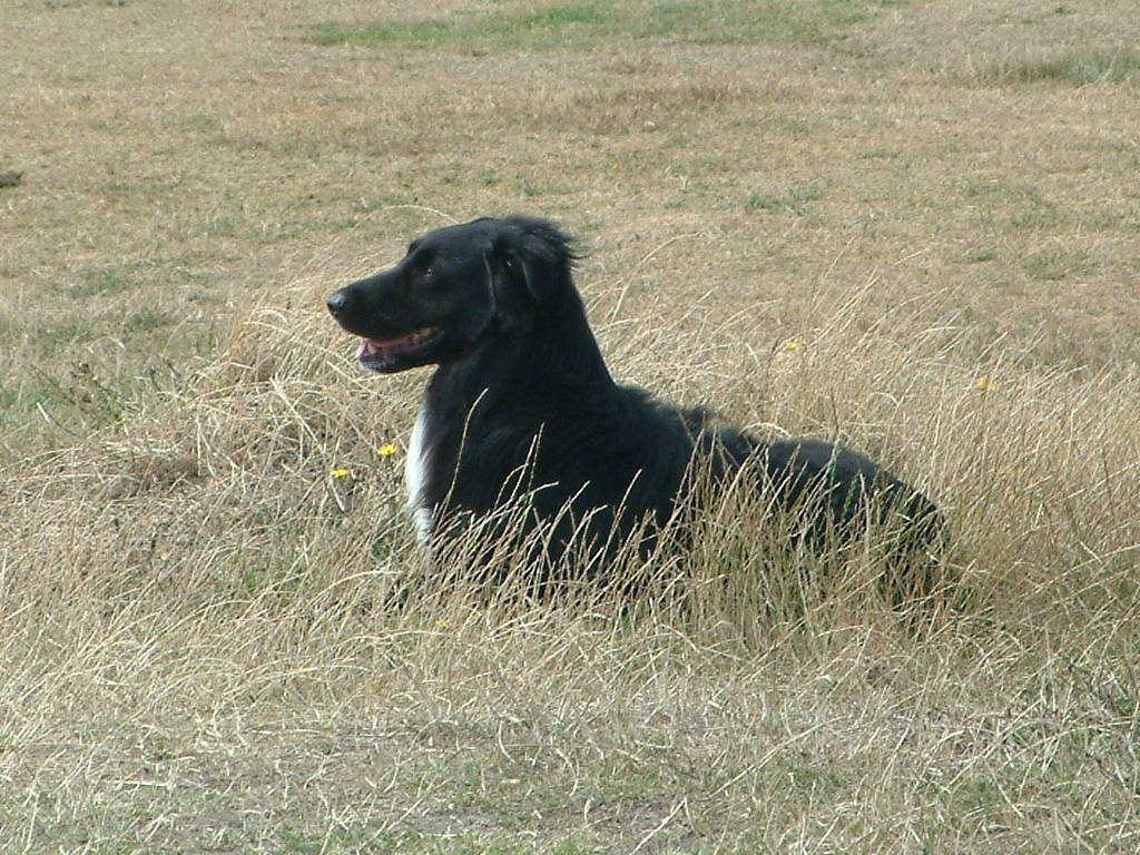 Click now to see this image full size.