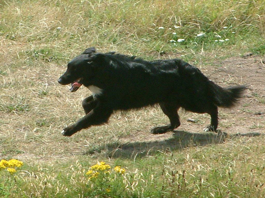 Click now to see this image full size.