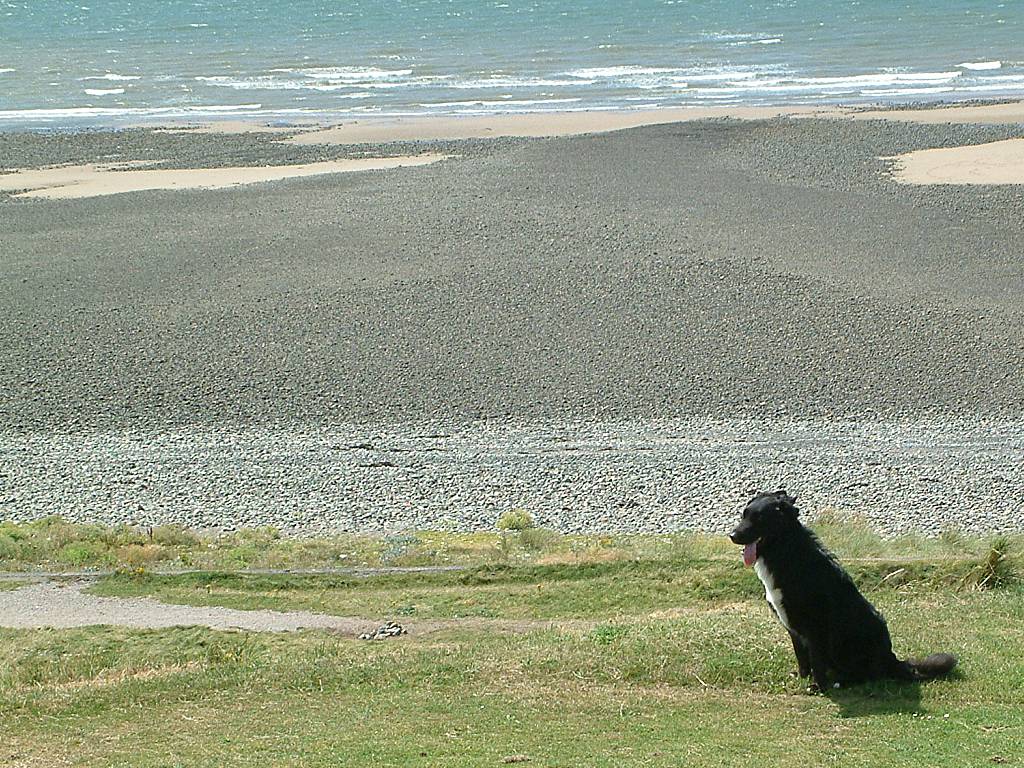 Click now to see this image full size.