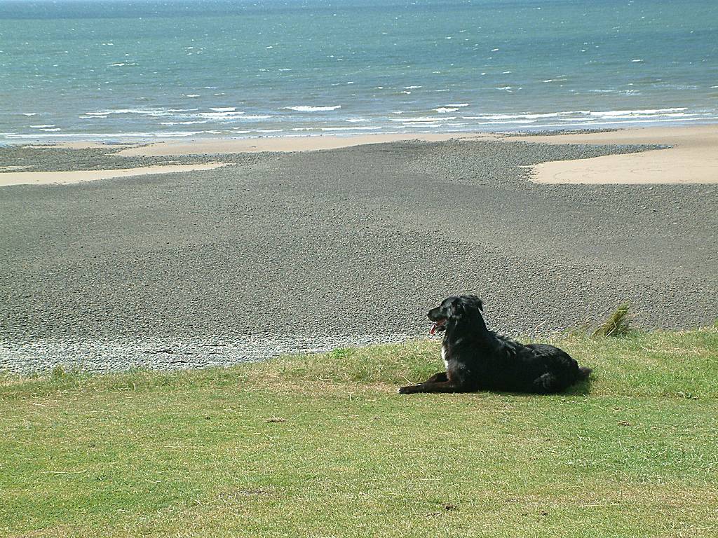 Click now to see this image full size.