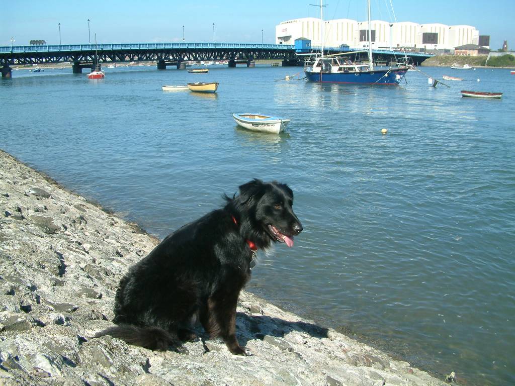 Click now to see this image full size.