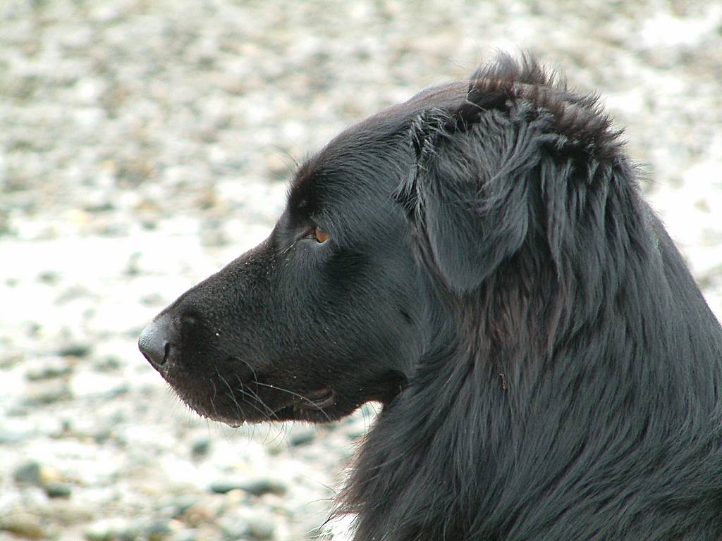 Click now to see this image full size.