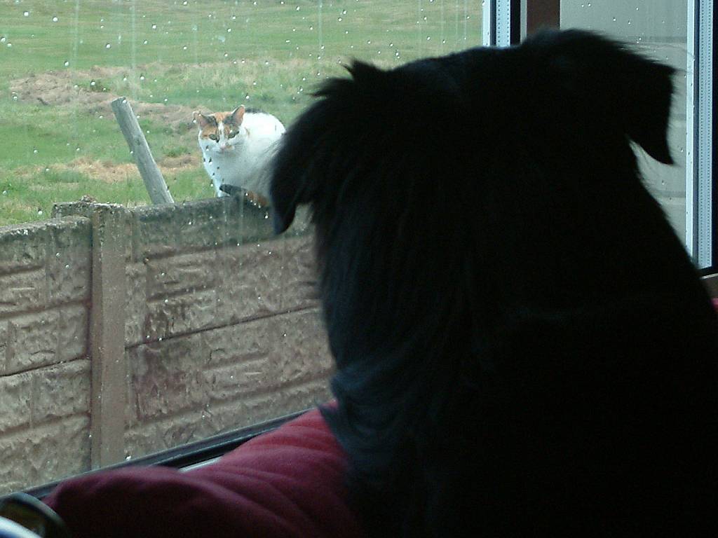 Click now to see this image full size.