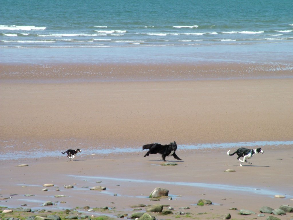 Click now to see this image full size.