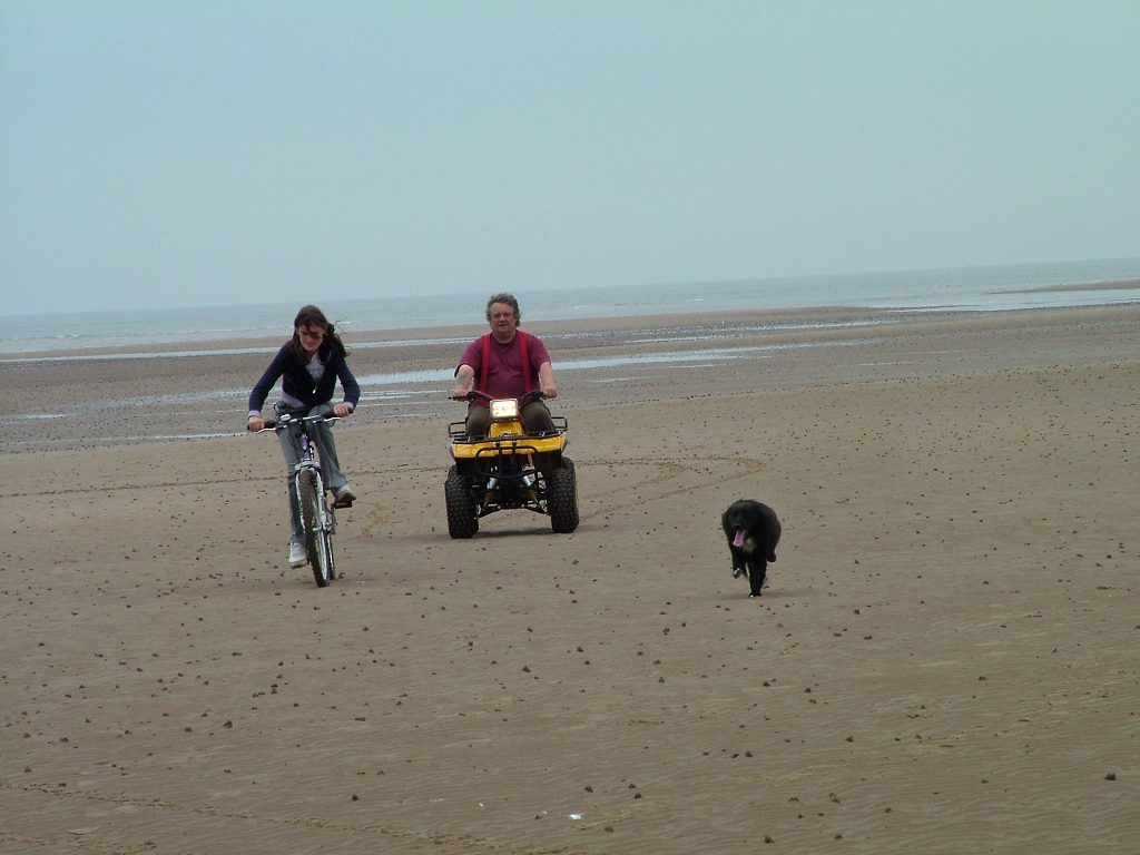 Click now to see this image full size.