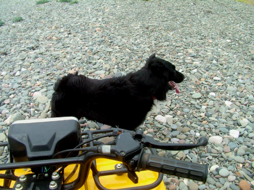 Click now to see this image full size.