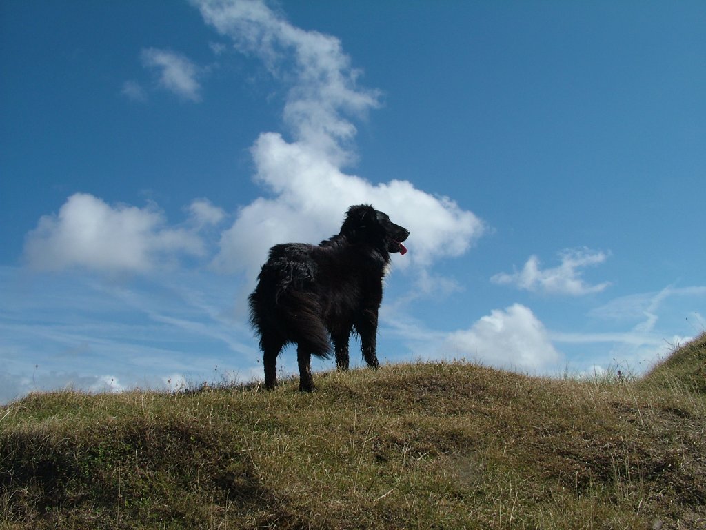 Click now to see this image full size.