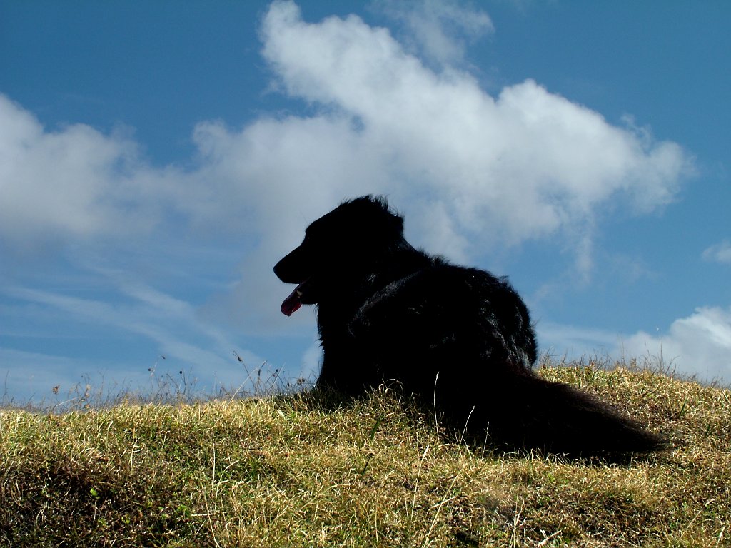 Click now to see this image full size.