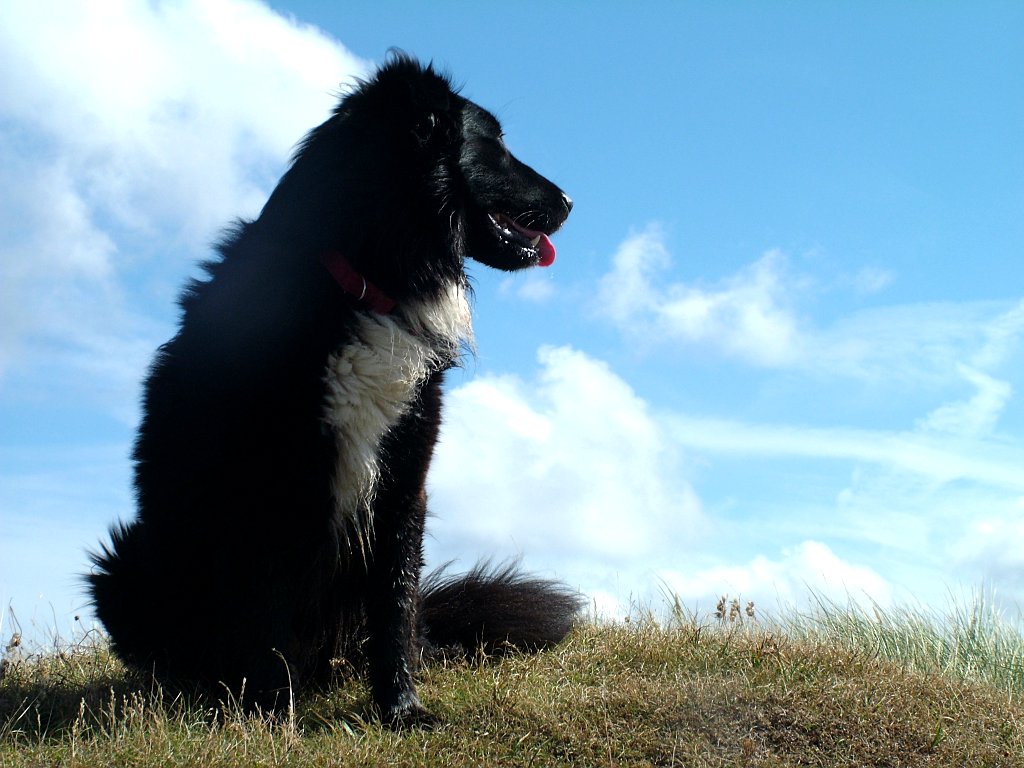 Click now to see this image full size.