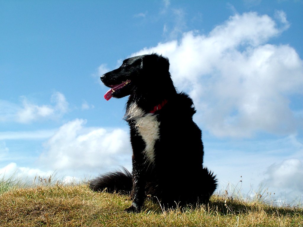 Click now to see this image full size.