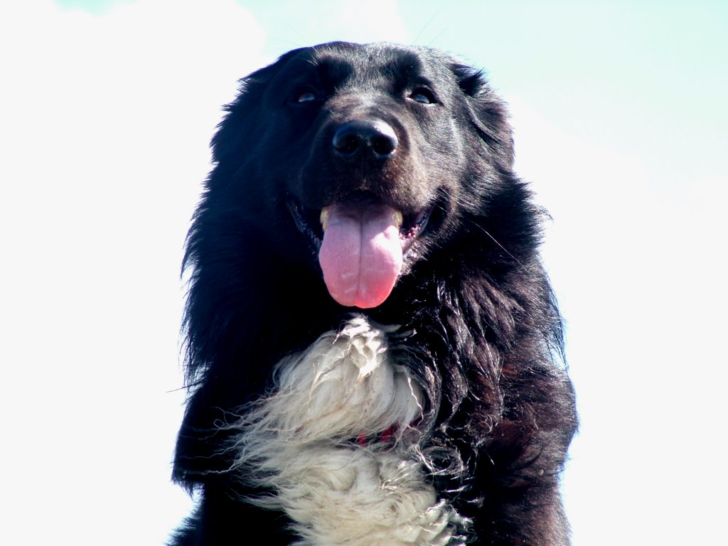 Click now to see this image full size.