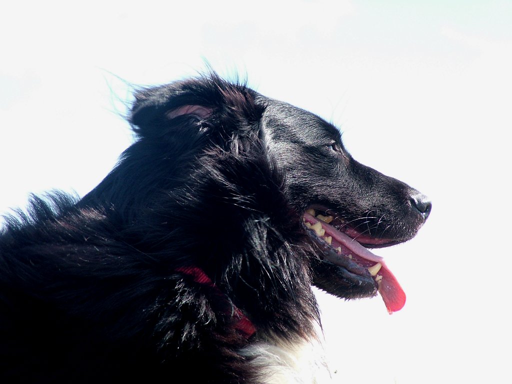 Click now to see this image full size.