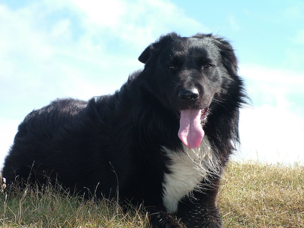 Click now to see this image full size.