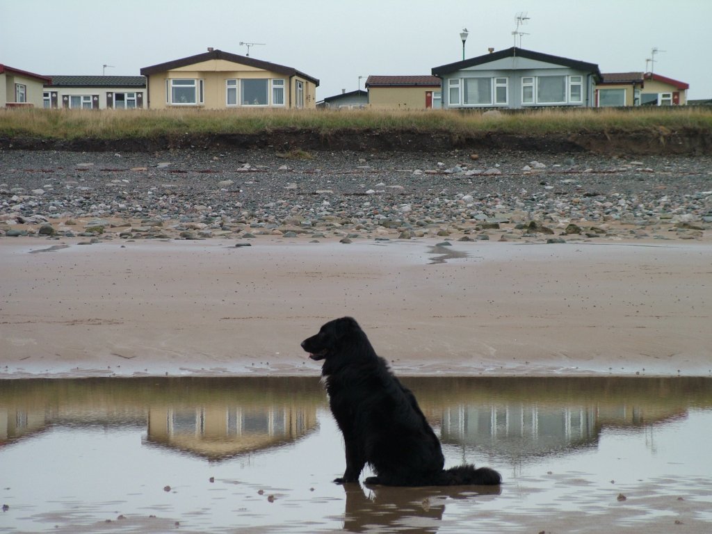 Click now to see this image full size.