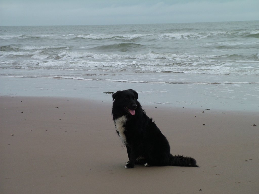 Click now to see this image full size.