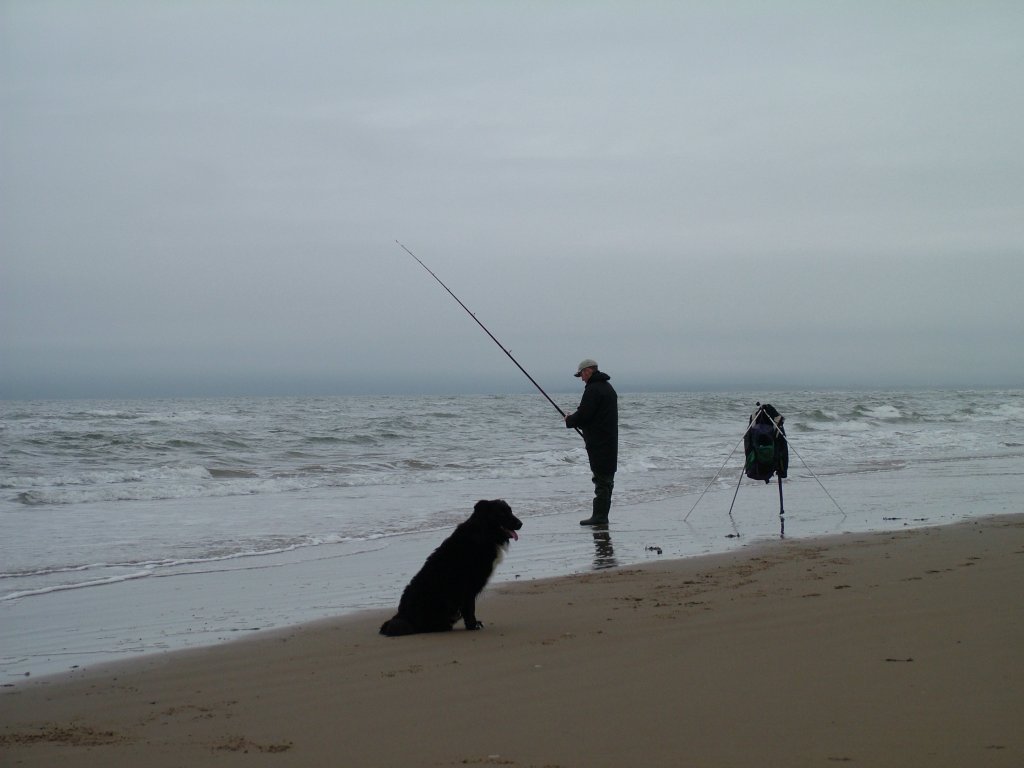 Click now to see this image full size.