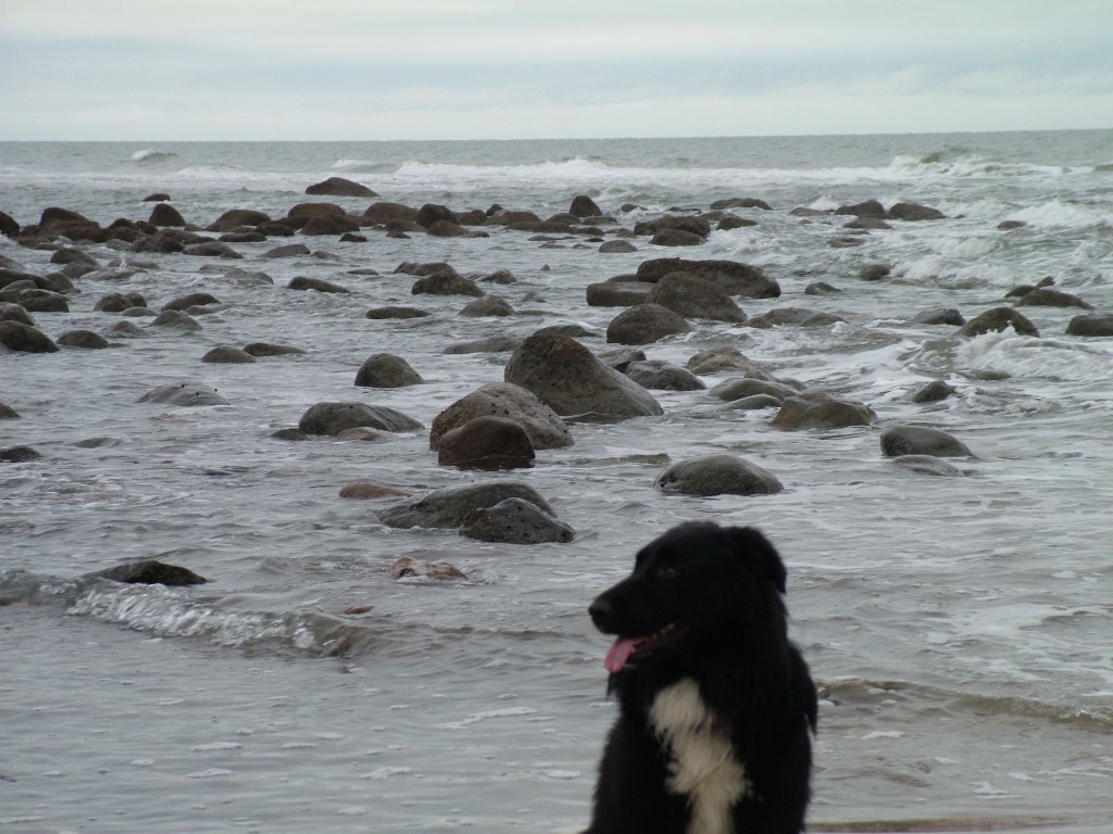 Click now to see this image full size.