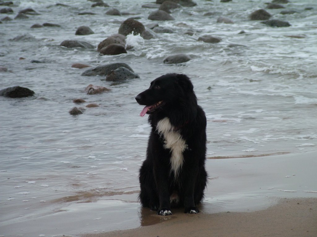 Click now to see this image full size.