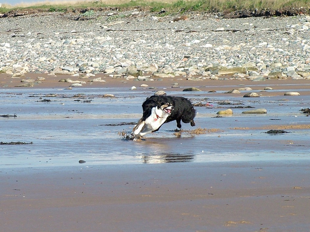 Click now to see this image full size.