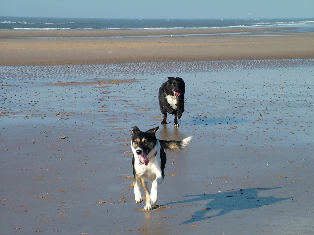 Click now to see this image full size.