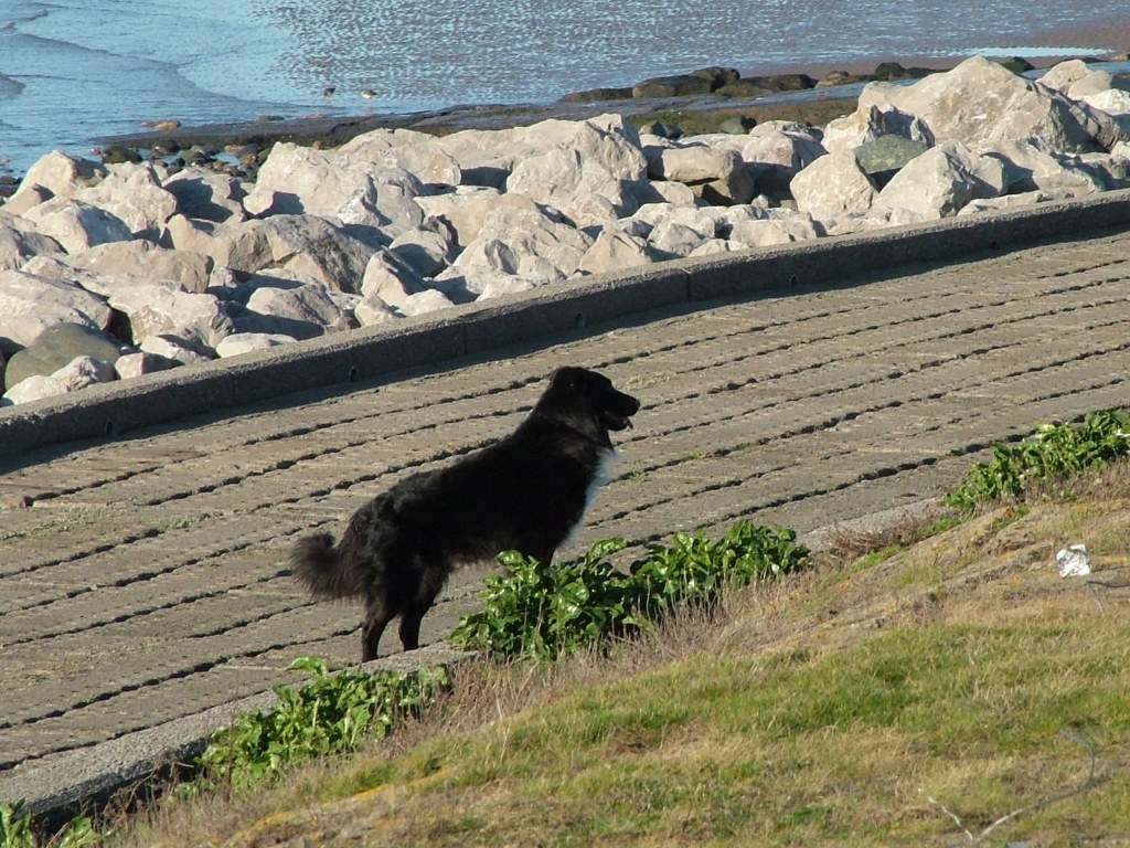 Click now to see this image full size.